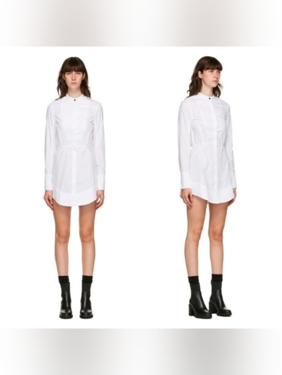 rag & bone Dresses & Skirts - Rag & Bone Victorine Collarless Shirtdress